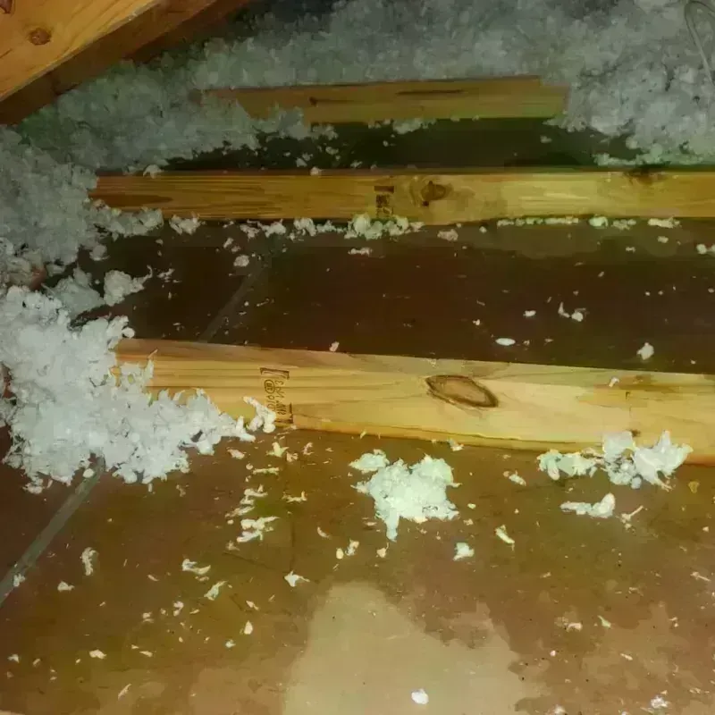 Attic Water Damage in Dover-Foxcroft, ME