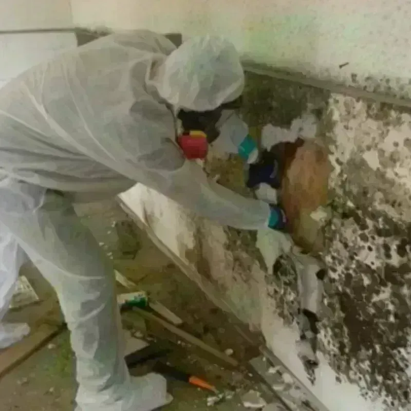 Mold Remediation and Removal in Dover-Foxcroft, ME